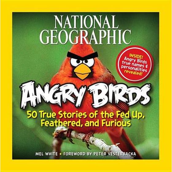 NG Angry Birds image 0
