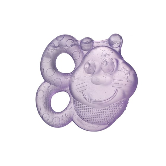 Σετ Μασητικό Παιχνίδι Οδοντοφυίας Playgro Με Νερό (2 Τεμάχια) image 2