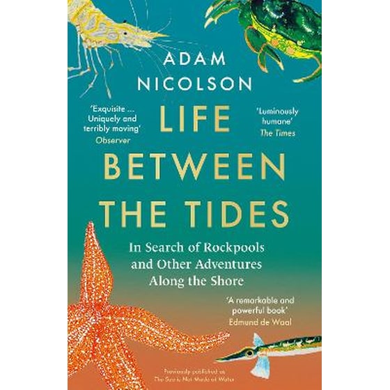 Life Between the Tides image 0