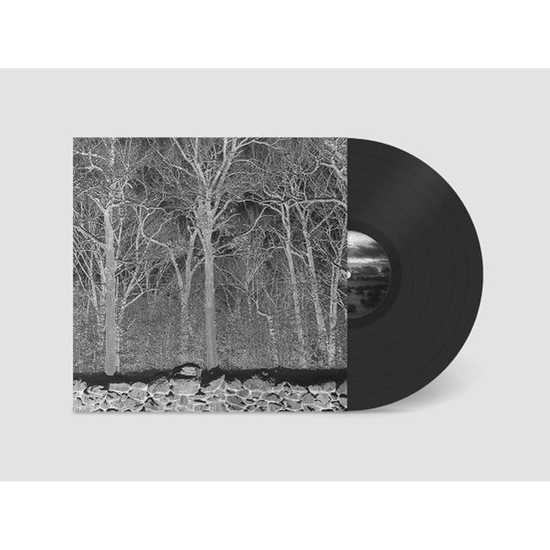 Sunshine And Balance Beams (LP)