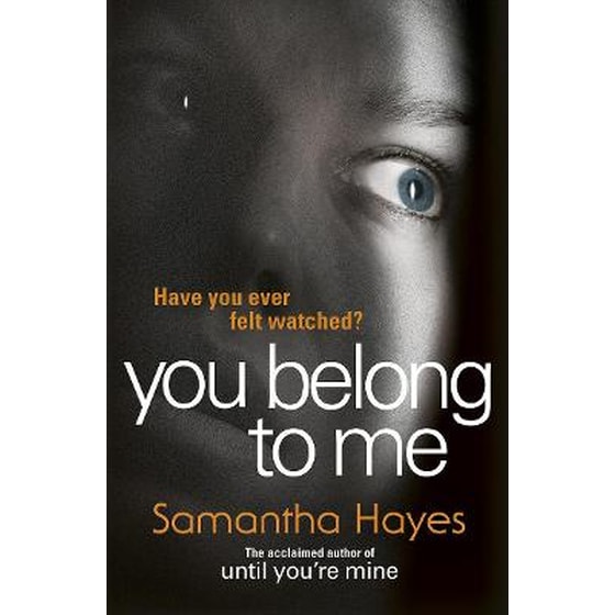 You Belong to Me image 0
