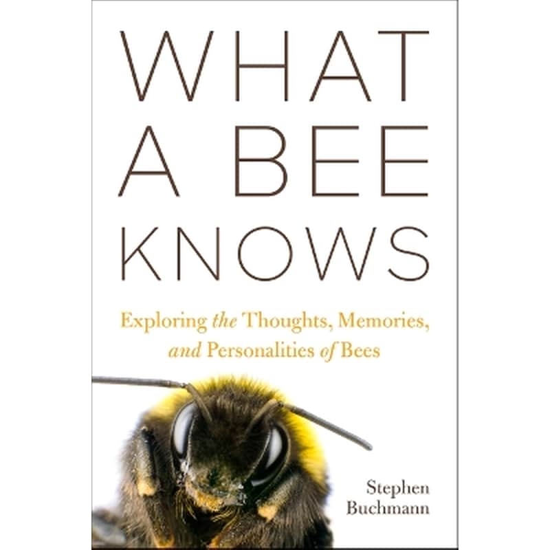 What a Bee Knows