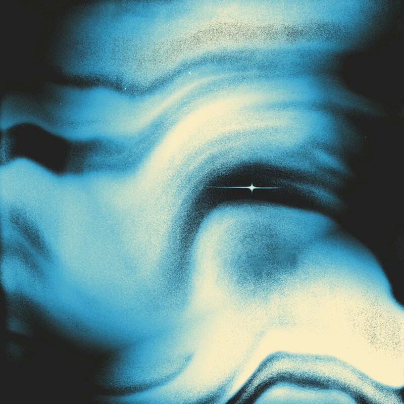 From What Was Will Grow A Flower (LP)