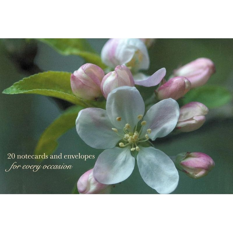 Cardbox of 20 Notecards and Envelopes Peony Press: Apple Blossom