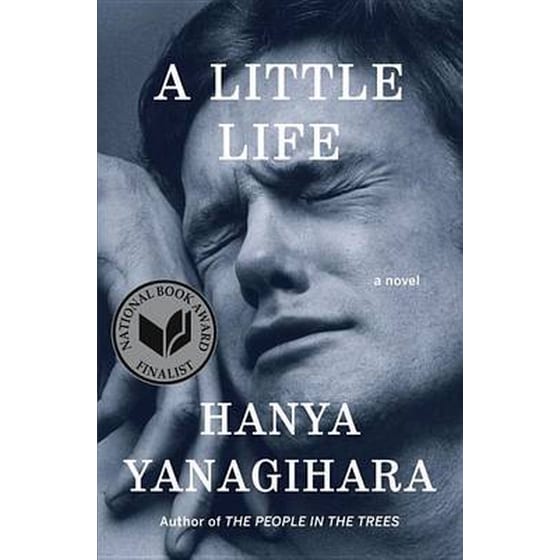 A Little Life image 0