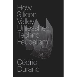 How Silicon Valley Unleashed Techno-feudalism