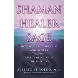 Shaman, Healer, Sage