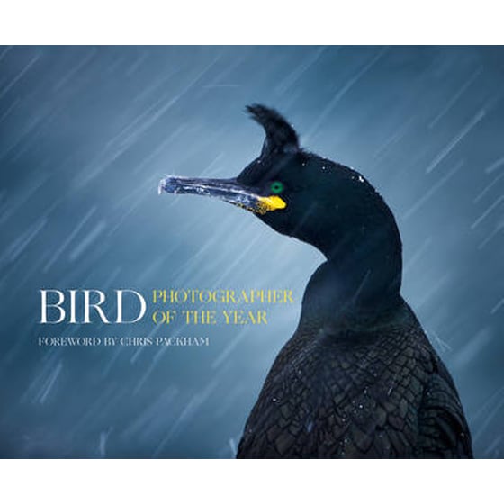 Bird Photographer of the Year image 0