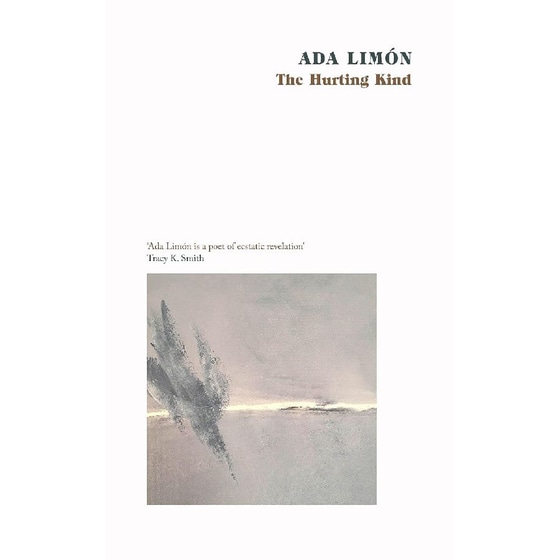 The Hurting Kind image 0