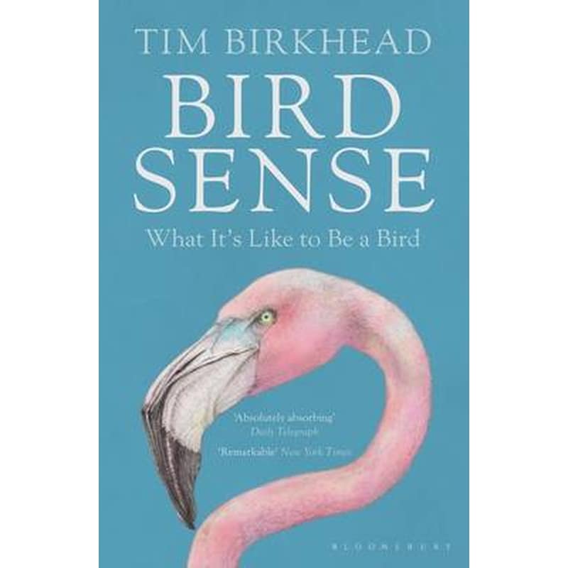 Bird Sense