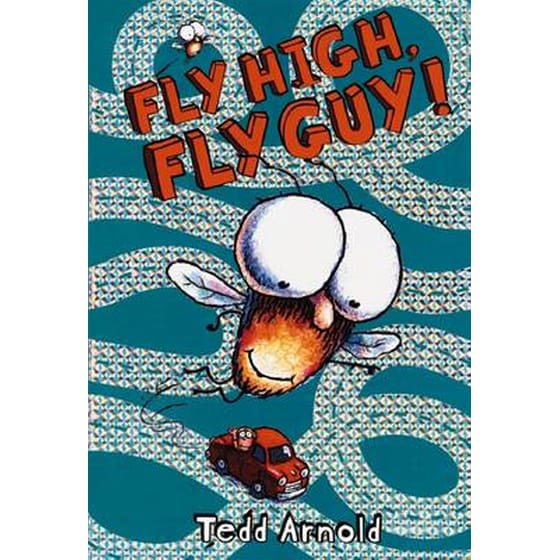 Fly Guy- #5 Fly High Fly Guy image 0