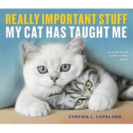 Really Important Stuff My Cat Has Taught Me