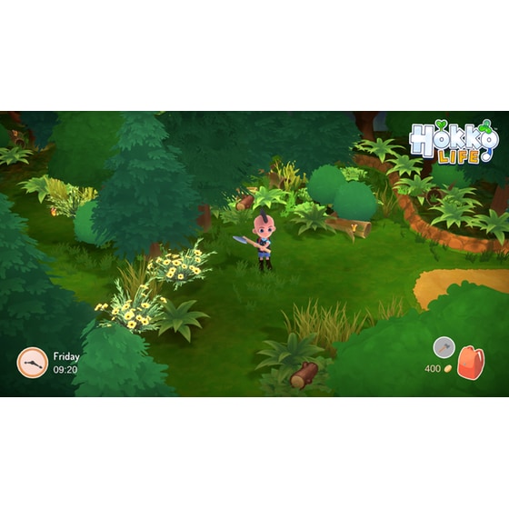 Hokko Life - Nintendo Switch image 6