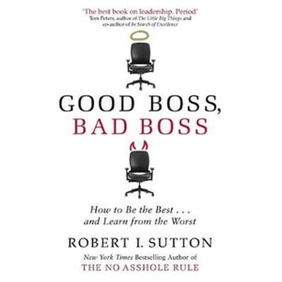 Good Boss, Bad Boss image 0