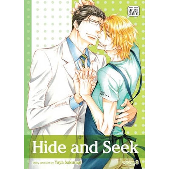 Hide and Seek, Vol. 3 image 0