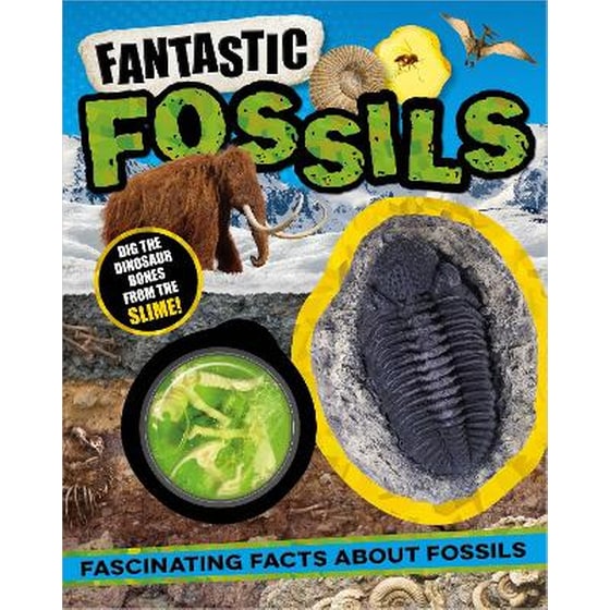Non-Fiction Books Fantastic Fossils image 0
