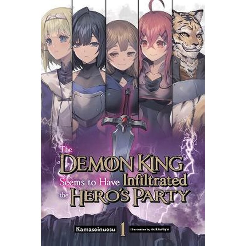 The Demon King Seems to Have Infiltrated the Heros Party, Vol. 1 (light novel)