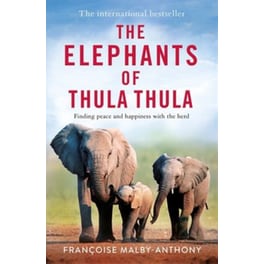 The Elephants of Thula Thula
