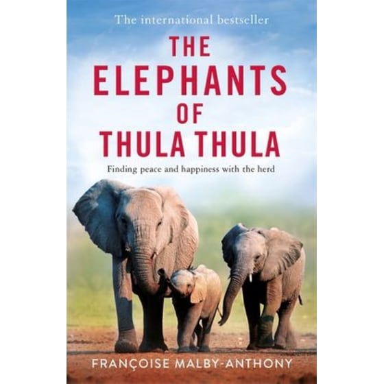 The Elephants of Thula Thula image 0