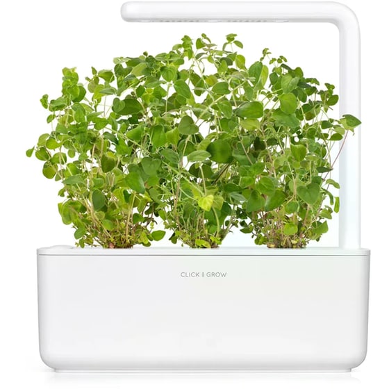 Κάψουλες Click and Grow 3 Τμχ - Ρίγανη image 3