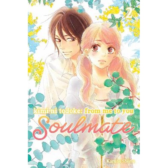 Kimi ni Todoke: From Me to You: Soulmate, Vol. 2 image 0