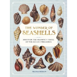 The Wonder of Seashells