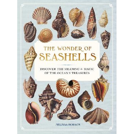 The Wonder of Seashells image 0