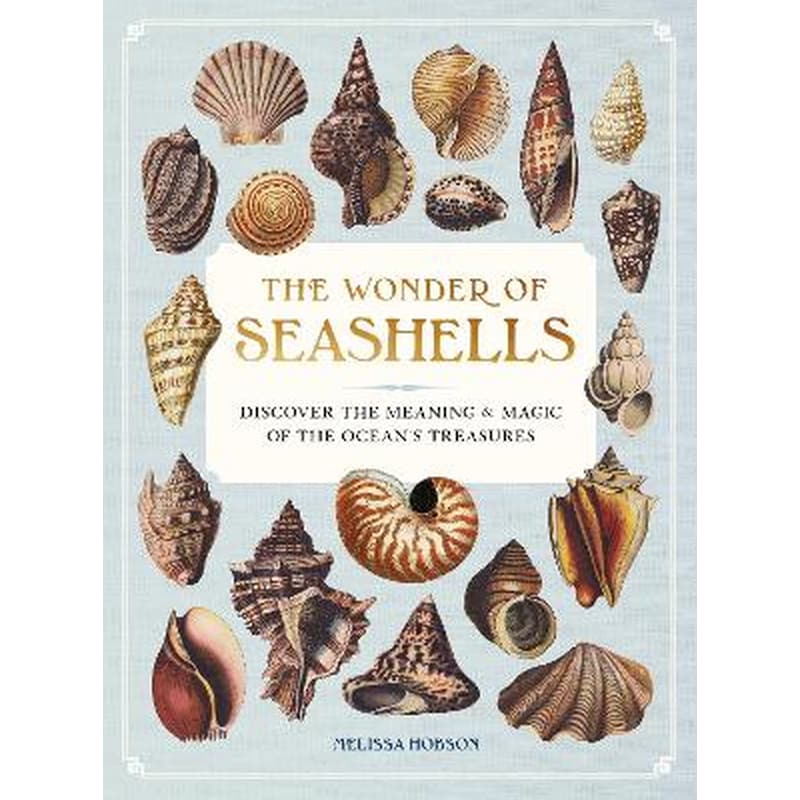 The Wonder of Seashells