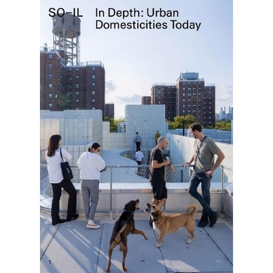 In Depth: Urban Domesticities Today So-Il image 0
