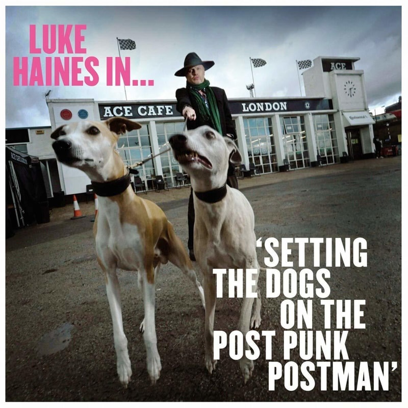 Luke Haines In... Setting The Dogs On The Post Punk