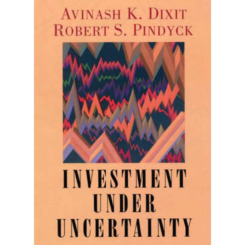 Investment under Uncertainty