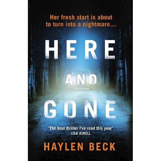 Here and Gone image 0