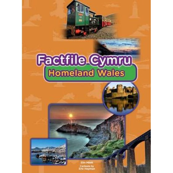 Factfile Cymru- Homeland Wales image 0
