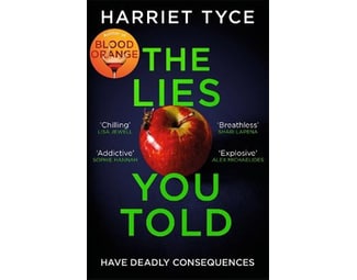 Lies You Told image 0