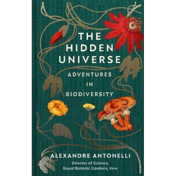 The Hidden Universe image 0
