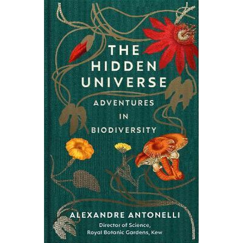 The Hidden Universe