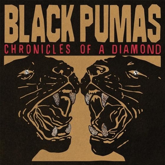 Chronicles Of A Diamond image 0