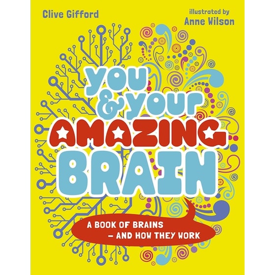 You & Your Amazing Brain image 0