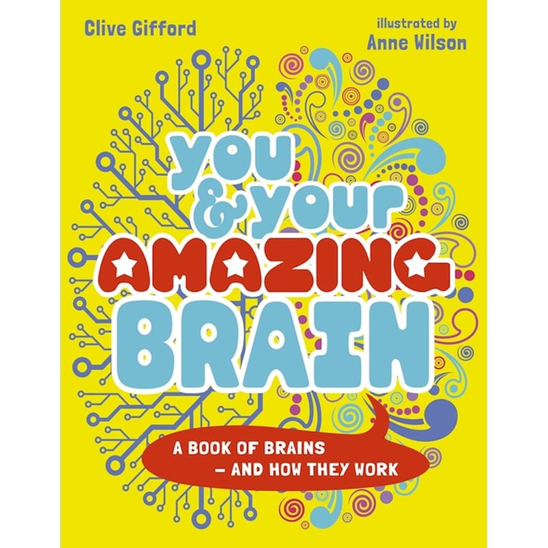 You Your Amazing Brain
