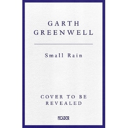 Small Rain