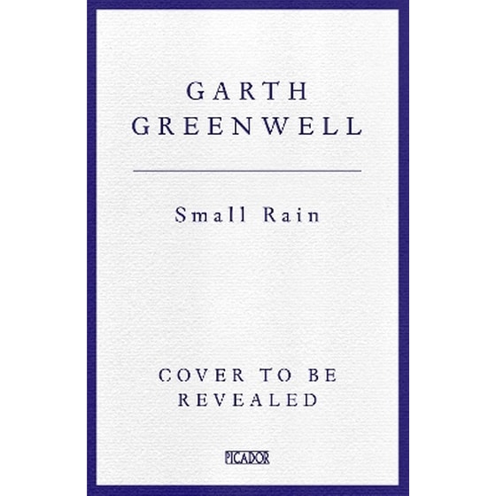 Small Rain image 0