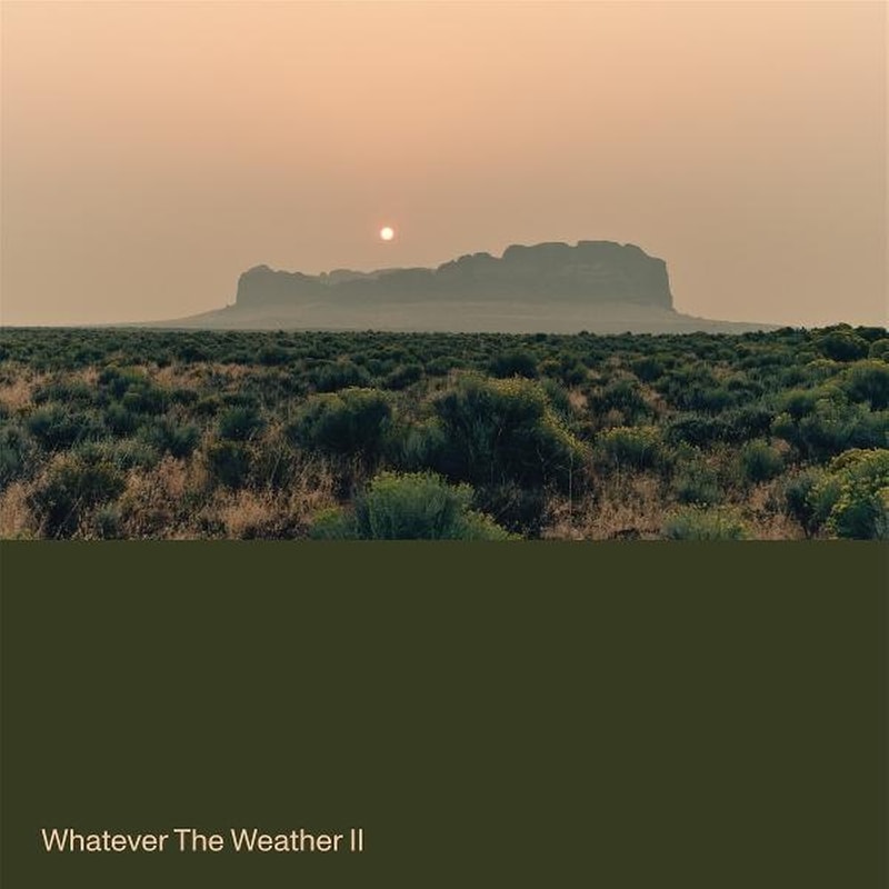 Whatever The Weather II (Limited Drak Green Vinyl)