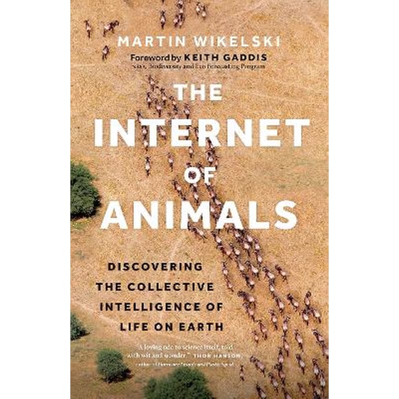 The Internet of Animals