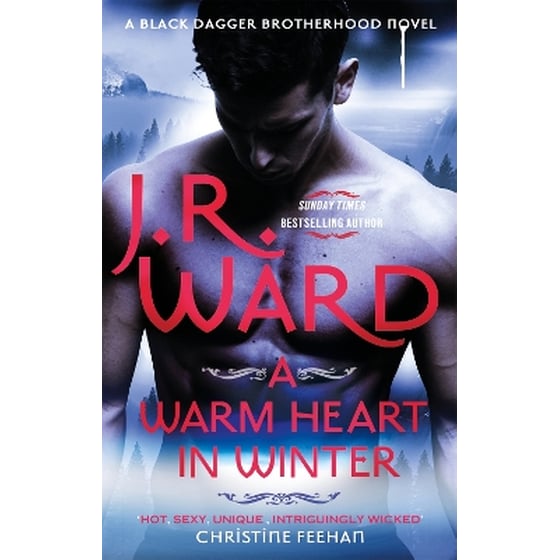 A Warm Heart in Winter image 0