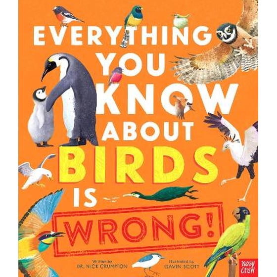 Everything You Know About Birds is Wrong! image 0