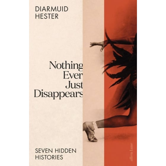 Nothing Ever Just Disappears image 0