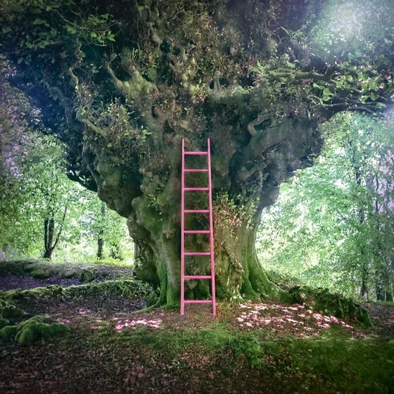 Simon Chesterfield (LP 10") image 0
