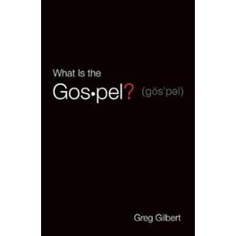 What Is the Gospel? (Pack of 25)