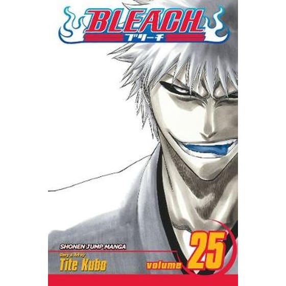 Bleach, Vol. 25 image 0