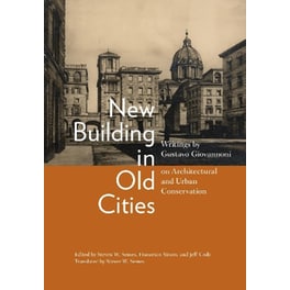 New Building in Old Cities